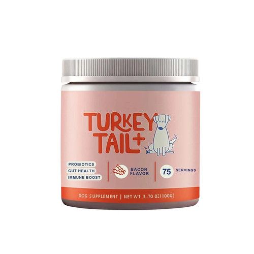 Turkey Tail Mushroom For Dogs - Dog Turkey Tail Probiotics Supplement UK#1
