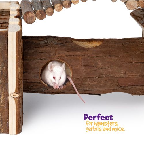 PETLICITY Wooden Hamster Climbing House with Tunnels — image 6