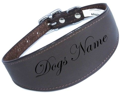 Personalized Greyhound Whippet Collar Leather Dog Collar Padded Backing NAME