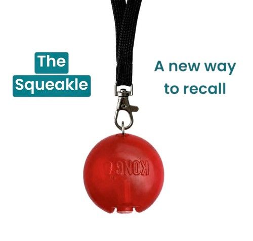 ‘The Squeakle’ -  Quality KONG Dog Squeaker / Whistle Alternative for Training