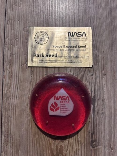 Park Seed NASA Space Exposed flown Seed Red Tomato Rutgers California Supreme