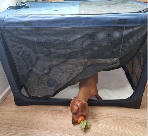 XL Dog Crate, Foldable Soft-Sided Pet Travel Crate/Carrier — image 7