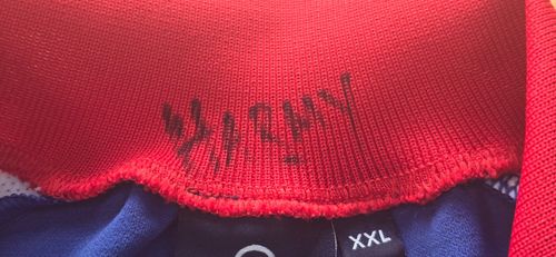 Steve Harmison Signed 2005 England Cricket Training Shirt XXL “Harmy” Collar — image 3