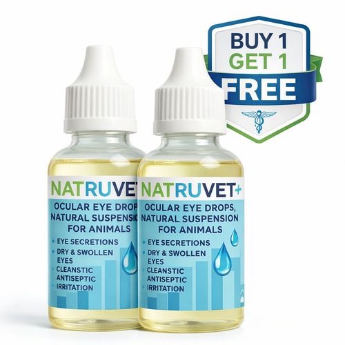 Dogs Eye Drops LARGE 2 x 30 ML ADVANCED — image 1