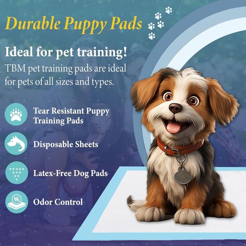 50 Large Puppy Training Pads 60x60cm Super Absorbent Dog Toilet Pads Leakproof — image 4
