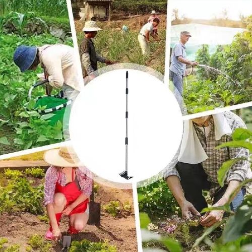 Telescopic Weed Puller Tool Set Long Handle Garden Weeder with Protective Gloves — image 9