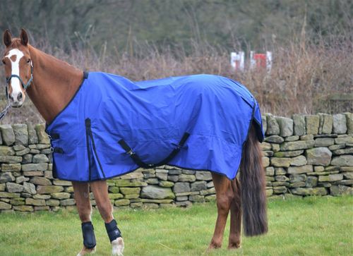 SALE! CLEARANCE Rain Sheet Lightweight 0g Fill Horse Pony Waterproof Turnout Rug — image 2