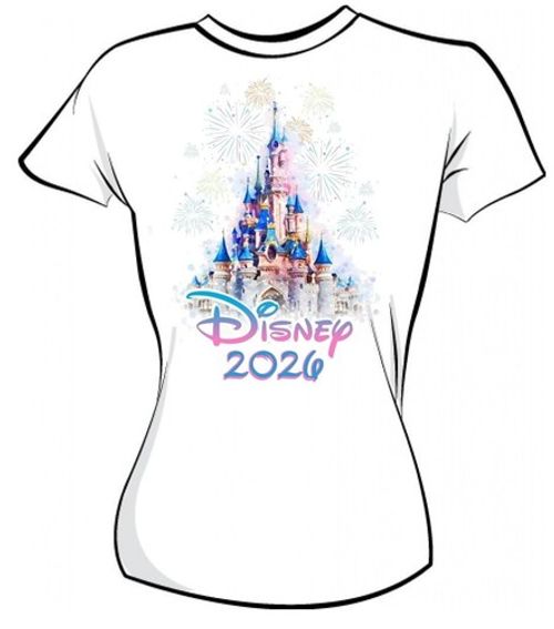 DISNEY TRIP IRON ON T SHIRT TRANSFER PERSONALISED DTF or HEAT TRANSFER 2026