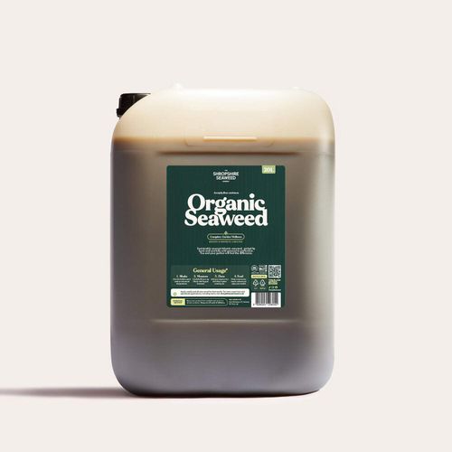 ORGANIC Seaweed Fertilizer Cold Pressed Kelp Natural Plant Food Garden Nutrient — image 1