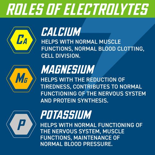 Endurance Hydration Tablet 400mg Electrolytes per Serving Zero Sugar 6x20 Tablet — image 4