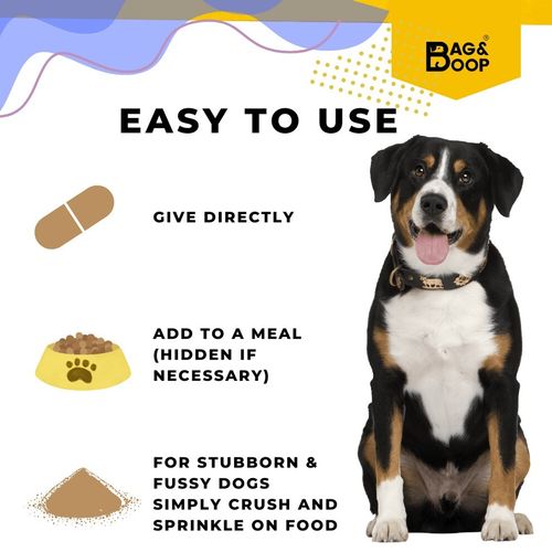 UTI Treatment For Dogs | Liver & Bladder Function | Incontinence | 120 Tablets  — image 4