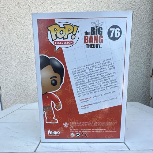 Funko Pop! Television The Big Bang Theory Raj Koothrappali Vinyl Figure #76 — image 3
