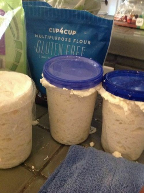 Gluten Free SOURDOUGH BREAD STARTER yeast San Francisco SAMMY plus recipes NEW z