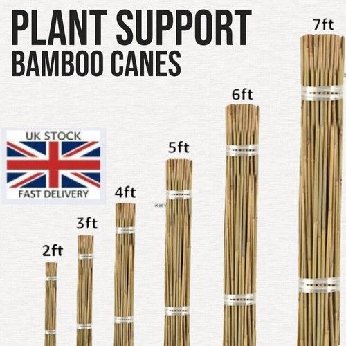 2 3 4 5 6 7 FT Bamboo Garden Canes Strong Thick Quality Plant Care Support Stick