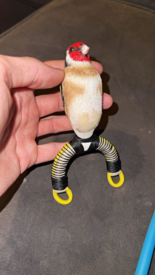 Gypsy catapult