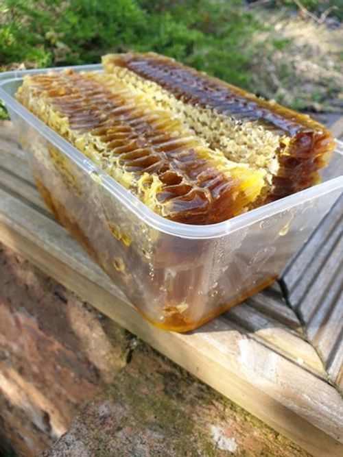 Raw Wildflower Honeycomb 1kg 2026 Harvest Organic Unfiltered Cut Comb Pure Honey