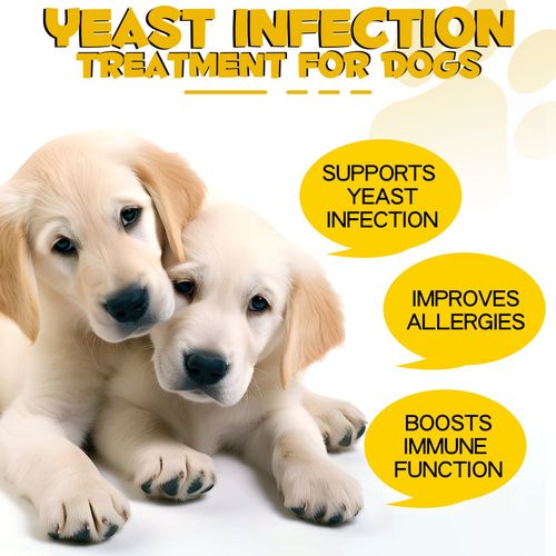 Dog Yeast Infection Treatment Drops Itchy Skin Relief Allergy Coat Care 60ml — image 12