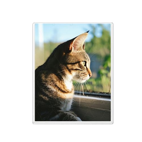 4" x 6" Hard PVC Sleeves Sheet Protector for Photo Postcard Trading Card Holders — image 6