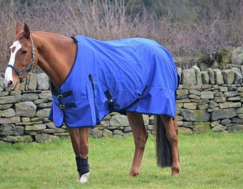 SALE! CLEARANCE Rain Sheet Lightweight 0g Fill Horse Pony Waterproof Turnout Rug