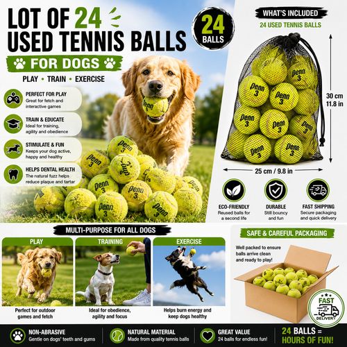 24 Used Tennis Balls Bulk Lot for Dogs Training Fetch Play Crafts Recycled Balls — image 1