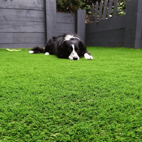 30mm Artificial Grass 1m x 1m Roll, Realistic Pet-Friendly Fake Grass Lawn Turf — image 2