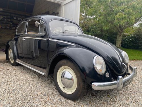 1955 Volkswagen Beetle Oval  Type 1  Beetle — image 1