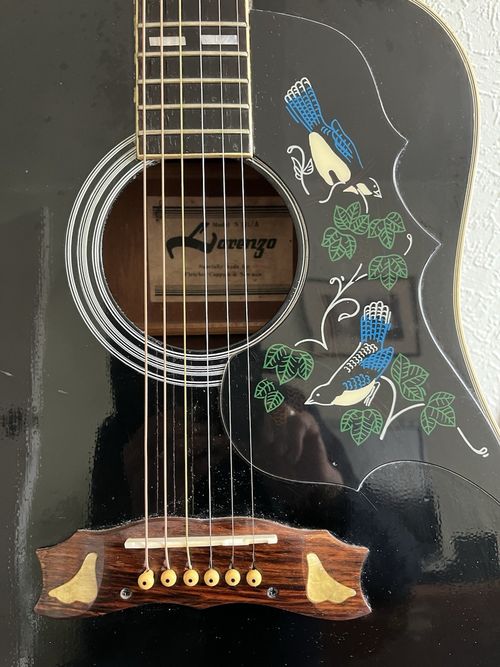 LORENZO BLUEBIRD ACOUSTIC GUITAR — image 3