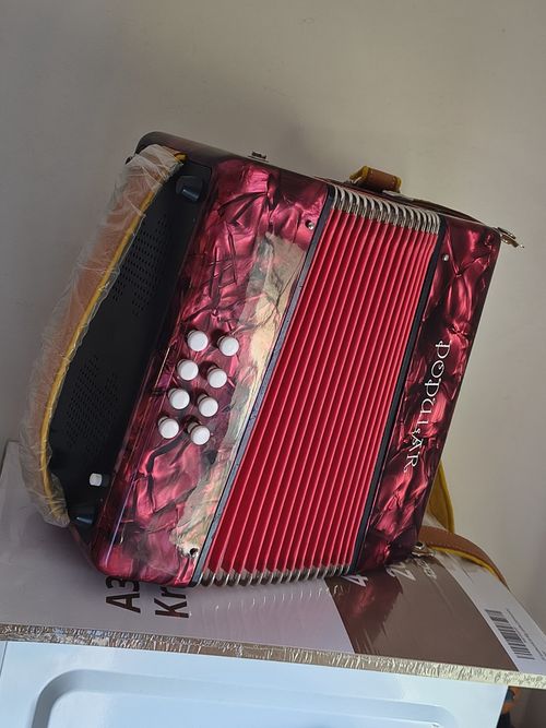 B/C accordion + Case / Delecia Popular Czech Republic Made 🇨🇿 — image 7