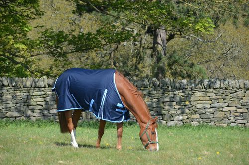 Waterproof 600d Mediumweight Turnout Rug Navy 200g Fill - Combo or Std All Sizes — image 6