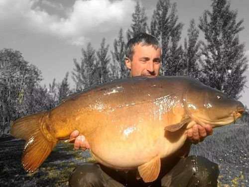 AT Angling products 100% Cold pressed organic hemp oil - 5 Litre - Carp fishing — image 5