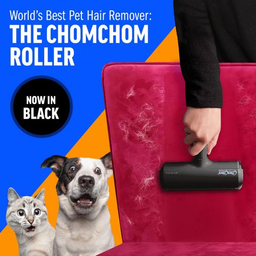 ChomChom Roller Pet Hair Remover - Original Size Reusable Lint Roller Black — image 2