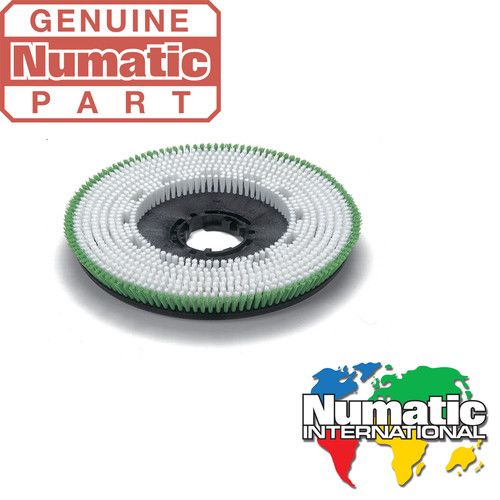 Numatic 550m Polyscrub Brush 606028 TGB6055, TGB6055T, TGB4055, TGB4055T