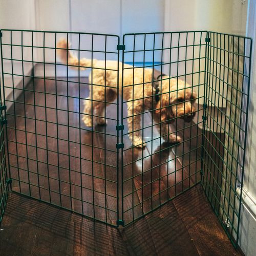 Indoor Dog Fence Folding Mesh Gate Barrier Door Portable Room Hallway Divider — image 5