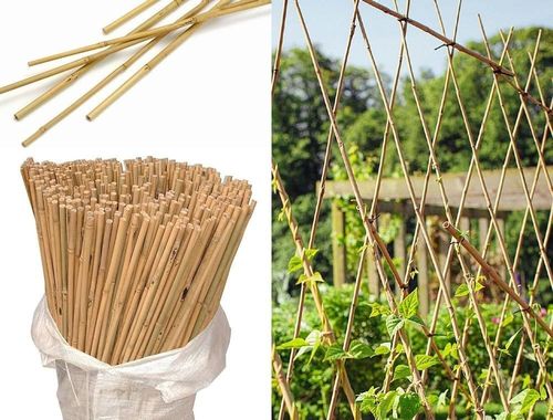 5ft Bamboo Canes Thick Garden Plant Support Sticks Pole Strong 10mm Pack 10-100 — image 5
