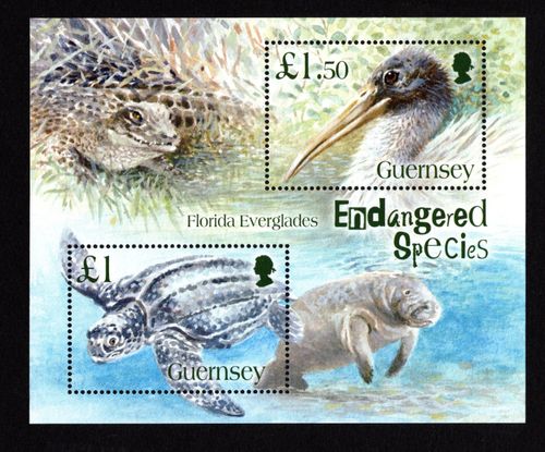 GUERNSEY 2006  COMPLETE YEAR SET  COMMEMORATIVES  7 SETS + 3 MINISHEETS  MNH — image 3