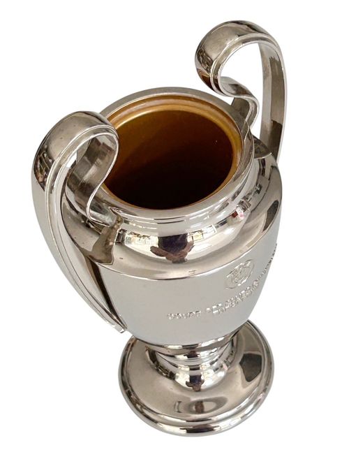 Official UEFA Champions League 3D Replica Trophy Licenced 150mm 1996 ECL Rare  — image 9