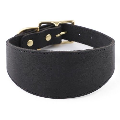 Snootiful Hound Leather Fishtail Collar | Sighthounds, Whippets, Greyhounds
