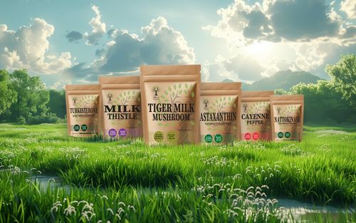 Probiotics For Gut Health 60 Billion Prebiotics Probiotics Complex Inulin Vegan — image 7