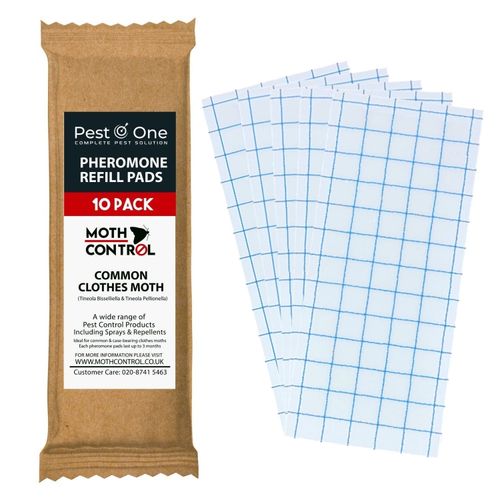 10 x CARPET MOTH CLOTHES MOTH TRAP PHEROMONE REFILLS- USE By OCTOBER 2026 — image 1