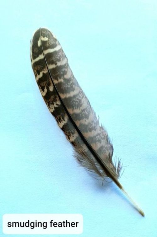 Smudge Feather - for White Sage Smudge, Palo Santo Smudging - Natural Feather