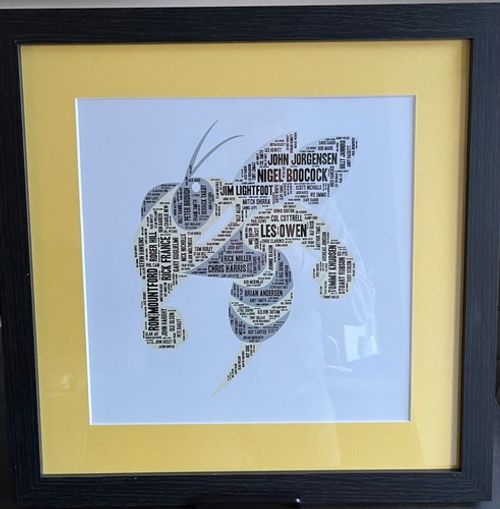 Coventry Bees Speedway Framed and Mounted Digital Art Print ‘Fighting Bee’