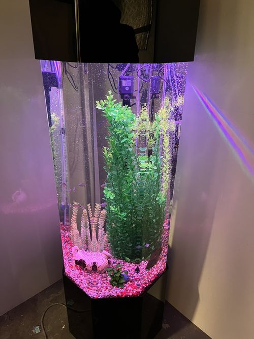 column aquarium tower fish tank — image 20