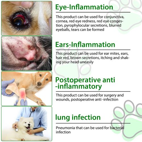 Dog Anti Biotic Drops 100% Natural for Immune System Support & Anti-Inflammatory — image 5