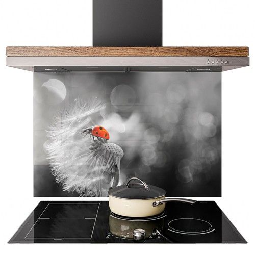 Glass Splashback Kitchen Tile Cooker Panel ANY SIZE Ladybug on Dandelion 0714