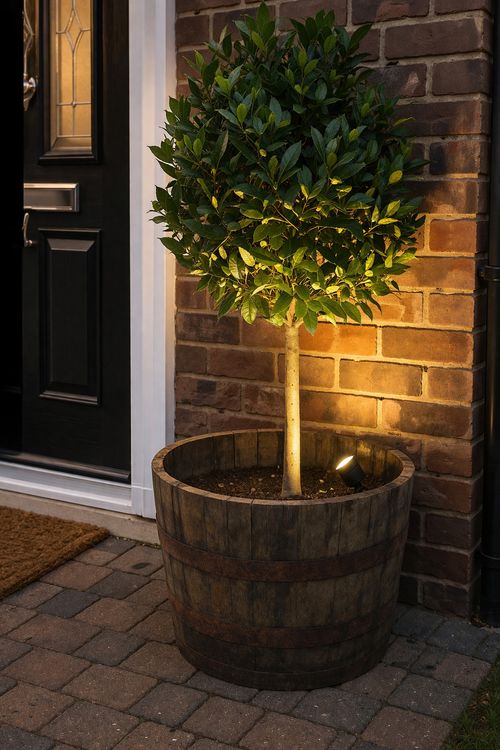HALF OAK WHISKEY BARREL PLANTER POT TUB GARDEN FLOWERS SHRUBS WITH DRAINAGE HOLE — image 7