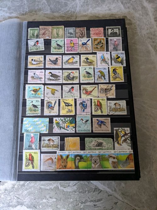 Birds of the World Stamps .over  1250 stamps , lee than 15p each — image 12
