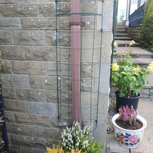 Wall Plant Support Trellis Mesh For Climbing Climbers Metal Frame Flexigro Panel — image 5