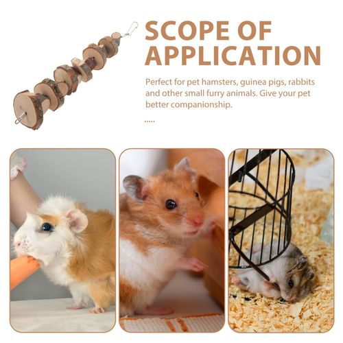 Guinea Pig Cage Accessories Rat Chew Toys Hamster Chewing Supplies — image 9