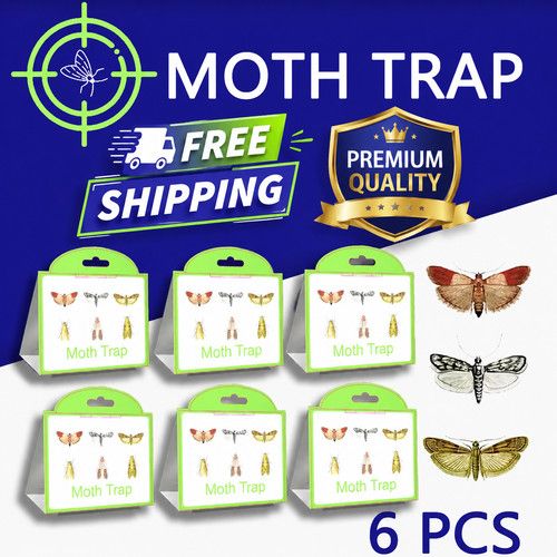 6x Pheromone Moth Traps Sticky Pest Control Pantry Clothes Non-Toxic