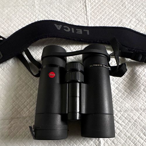 Leica Ultravid 10x42 Black Roof Prism Binoculars. Missing one lens cap cover.